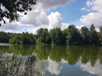 Apartment Geräumige Ferienwohnung in Boddin mit Garten - Environment photo 35
