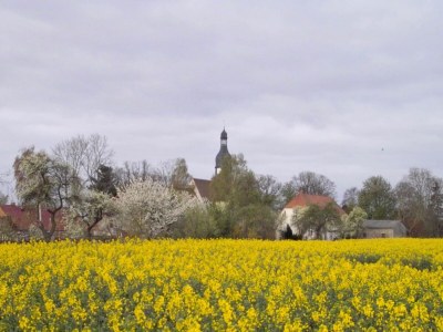 Apartment Geräumige Ferienwohnung in Boddin mit Garten - Environment photo 36