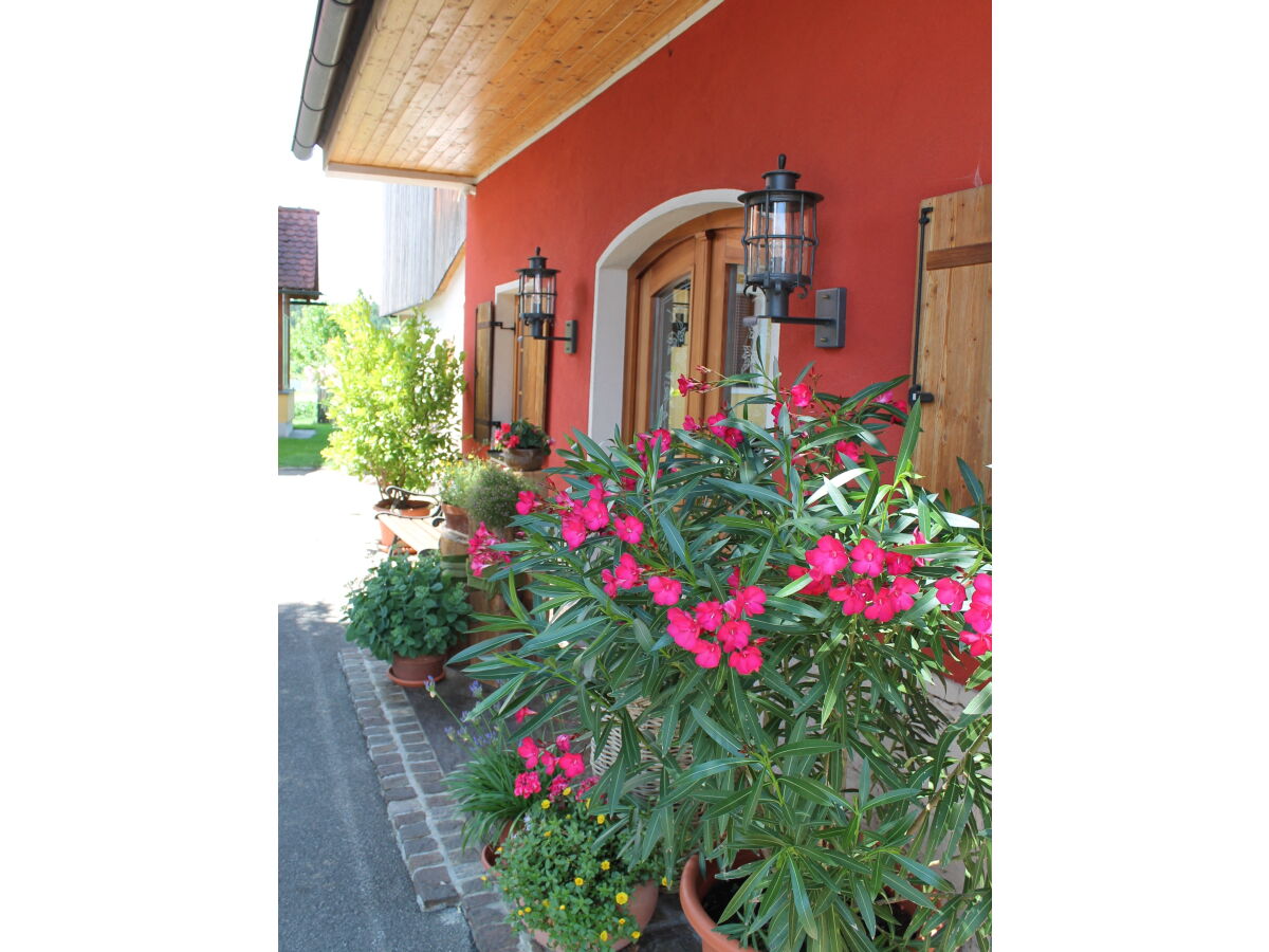 Holiday apartment Garden Terra at Wurzerlhof - Outdoor photo 4