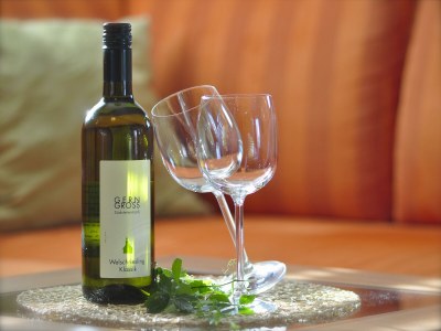 Holiday apartment Garden Terra at Wurzerlhof - Outdoor photo 9