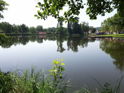 Holiday apartment Garden Terra at Wurzerlhof - Outdoor photo 17