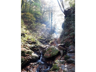 Holiday apartment Garden Terra at Wurzerlhof - Environment photo 28