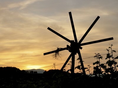 Holiday apartment Garden Terra at Wurzerlhof - Environment photo 29
