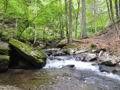 Holiday apartment Garden Terra at Wurzerlhof - Environment photo 31