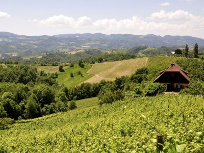 Holiday apartment Garden Terra at Wurzerlhof - Environment photo 32