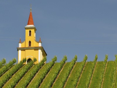Holiday apartment Garden Terra at Wurzerlhof - Environment photo 37