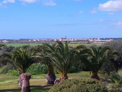 Finca Sa Rota de sa Marina - Outdoor photo 14