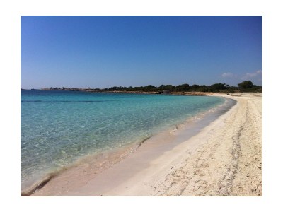 Finca Sa Rota de sa Marina - Environment photo 35