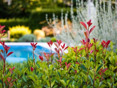 Villa StepanÄ - Outdoor photo 14