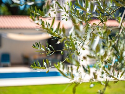 Villa StepanÄ - Outdoor photo 16