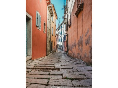 Villa StepanÄ - Environment photo 36