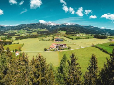 Holiday apartment Offenbacher - Outdoor photo 2