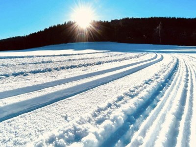Holiday apartment Offenbacher - Outdoor photo 10