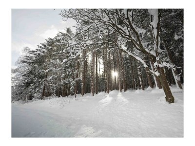Holiday apartment Offenbacher - Outdoor photo 11