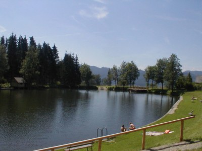 Holiday apartment Offenbacher - Environment photo 27