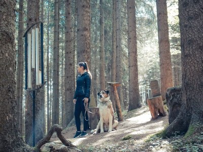 Holiday apartment Offenbacher - Environment photo 29