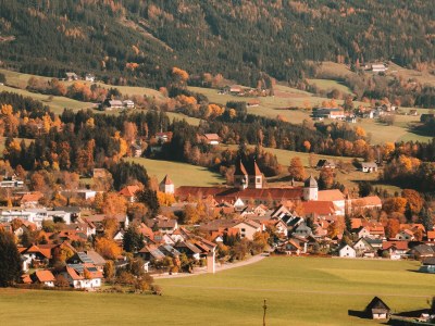 Holiday apartment Offenbacher - Environment photo 31