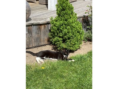 Holiday apartment Offenbacher - Environment photo 32