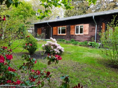 Holiday house Chalet Harmonie - Outdoor photo 10