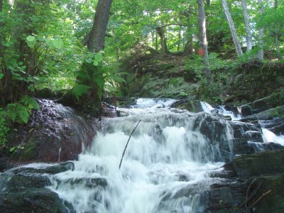 Holiday house Chalet Harmonie - Environment photo 24