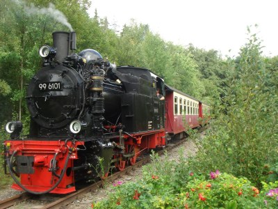 Holiday house Chalet Harmonie - Environment photo 25