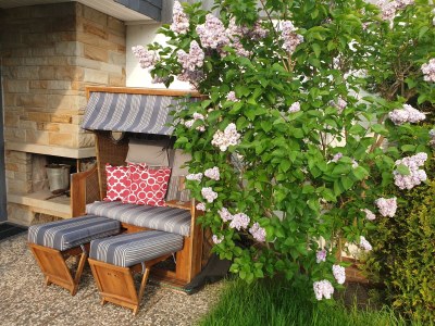 Holiday house Guhl - Outdoor photo 9