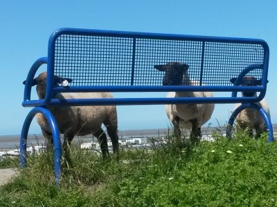 Holiday house Guhl - Environment photo 25