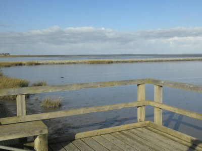 Holiday house Guhl - Environment photo 30