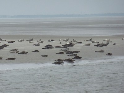 Holiday house Guhl - Environment photo 31