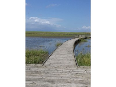 Holiday house Guhl - Environment photo 32