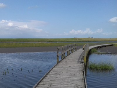 Holiday house Guhl - Environment photo 33