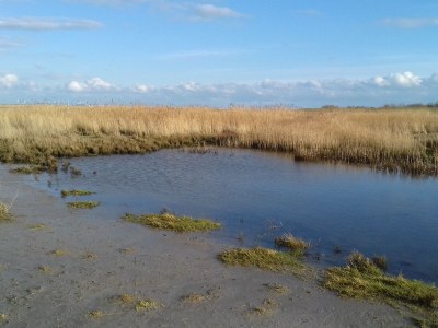 Holiday house Guhl - Environment photo 34