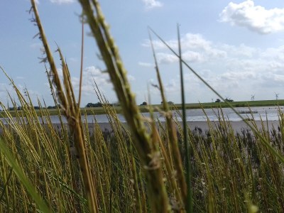 Holiday house Guhl - Environment photo 35