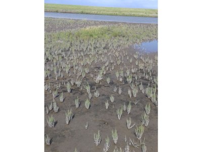 Holiday house Guhl - Environment photo 36