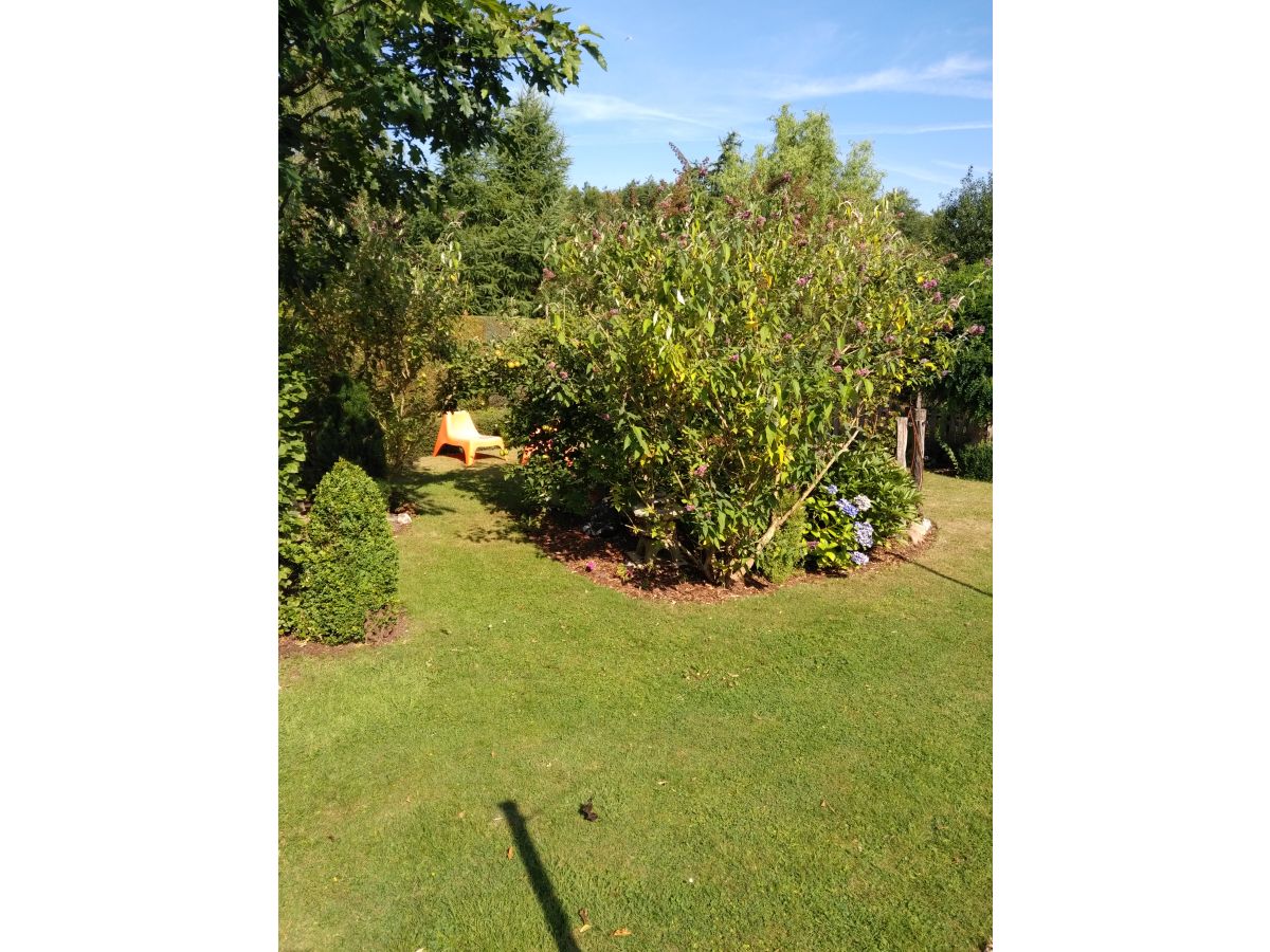 Holiday apartment Feldhörn - Outdoor photo 4