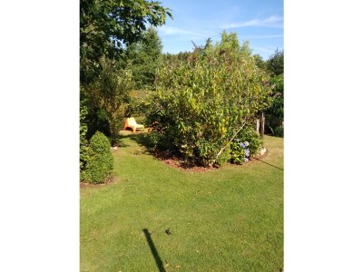 Holiday apartment Feldhörn - Outdoor photo 4