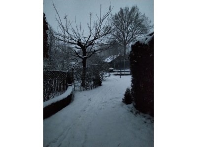 Holiday apartment Feldhörn - Outdoor photo 13