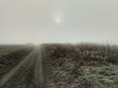 Holiday apartment Feldhörn - Environment photo 25