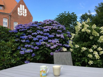 Holiday apartment **neu im Angebot** Whg. Fiffut  [friesisch Seestern] - Environment photo 23