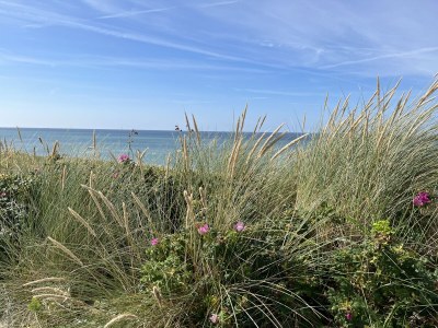 Holiday apartment **neu im Angebot** Whg. Fiffut  [friesisch Seestern] - Environment photo 27