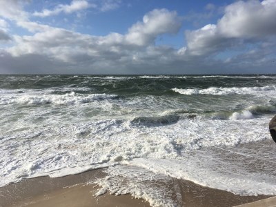 Holiday apartment **neu im Angebot** Whg. Fiffut  [friesisch Seestern] - Environment photo 32