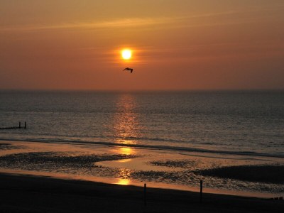 Holiday house Duinzicht (View of the Dunes) - Environment photo 30