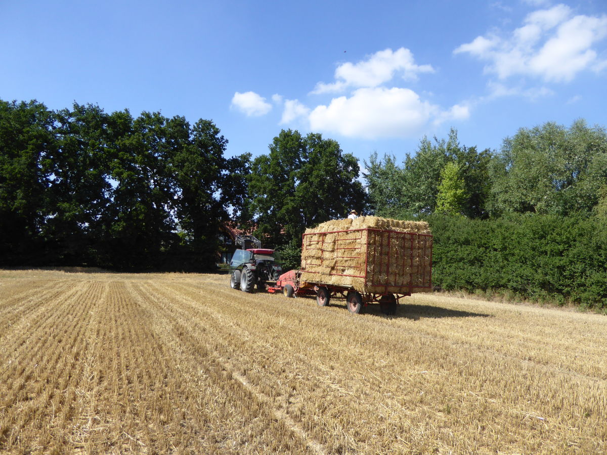 Holiday apartment Auszeit Adendorf - Outdoor photo 5