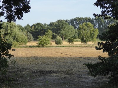 Holiday apartment Auszeit Adendorf - Outdoor photo 4