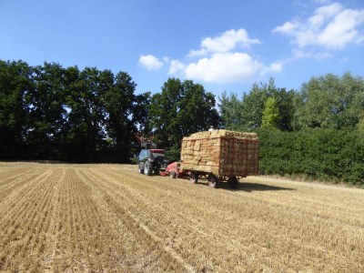 Holiday apartment Auszeit Adendorf - Outdoor photo 5