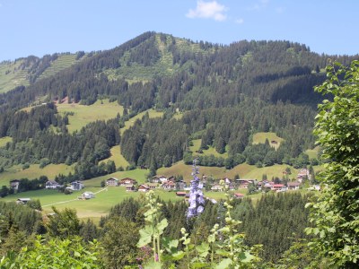 Holiday apartment Harald Heim - Outdoor photo 4