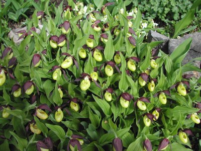 Holiday apartment Harald Heim - Environment photo 13