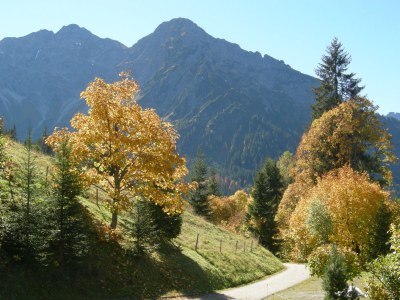 Holiday apartment Harald Heim - Environment photo 14