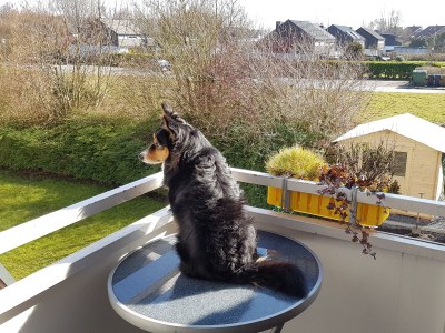 Holiday apartment Spijök - Features photo 19