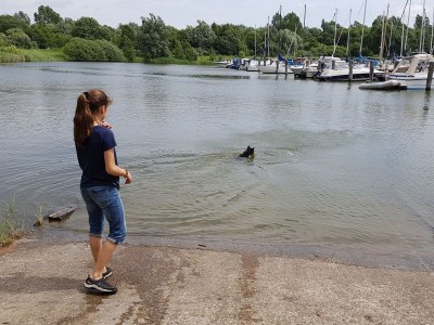 Holiday apartment Spijök - Environment photo 21